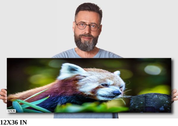 Product Image and Link for Red Panda Print
