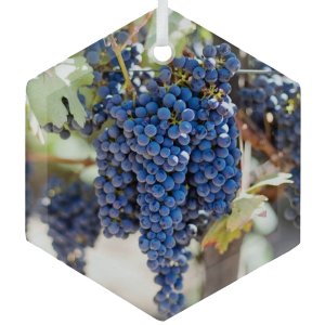 Product Image and Link for Napa Valley Wine Grapes Glass Ornament