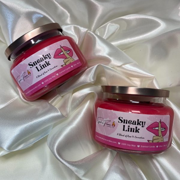 Product Image and Link for Sneaky Link