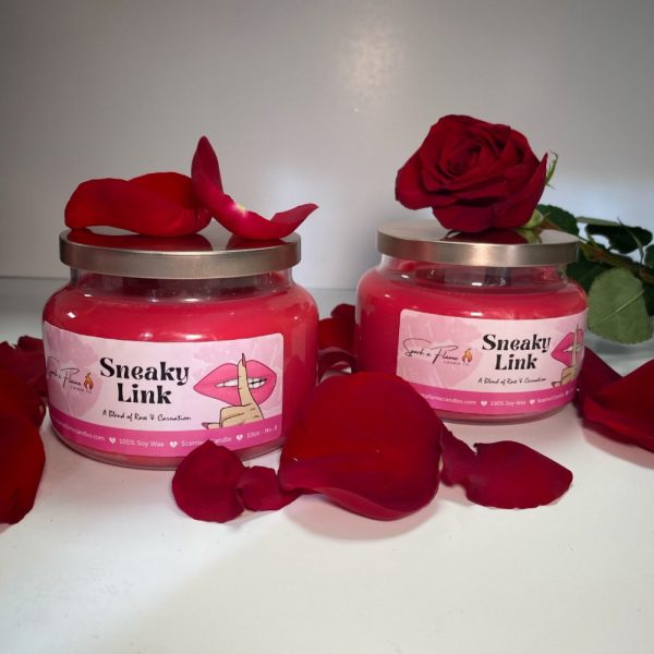 Product Image and Link for Sneaky Link