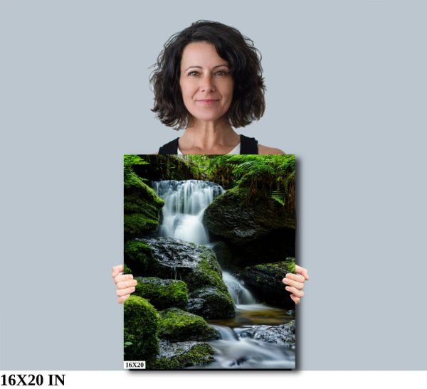 Product Image and Link for Trillium Falls