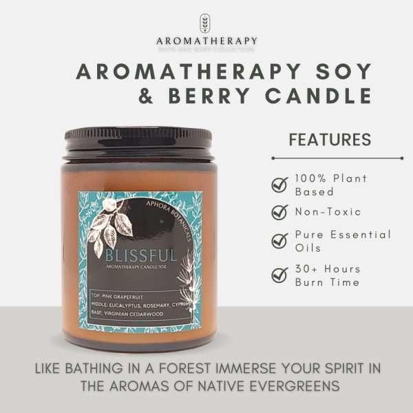 Product Image and Link for Blissful Aromatherapy Travel Candle