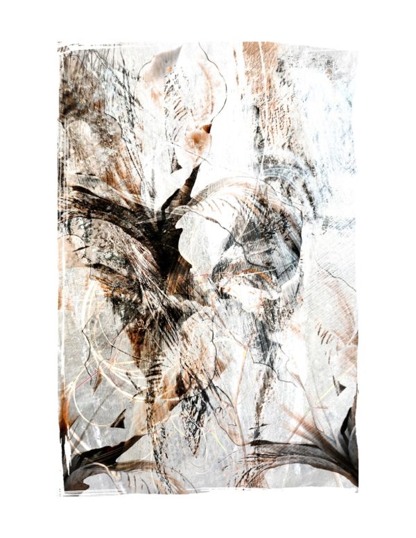 Product Image and Link for Abstract Irises No. 8