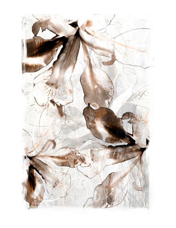 Product Image and Link for Abstract Irises No. 9