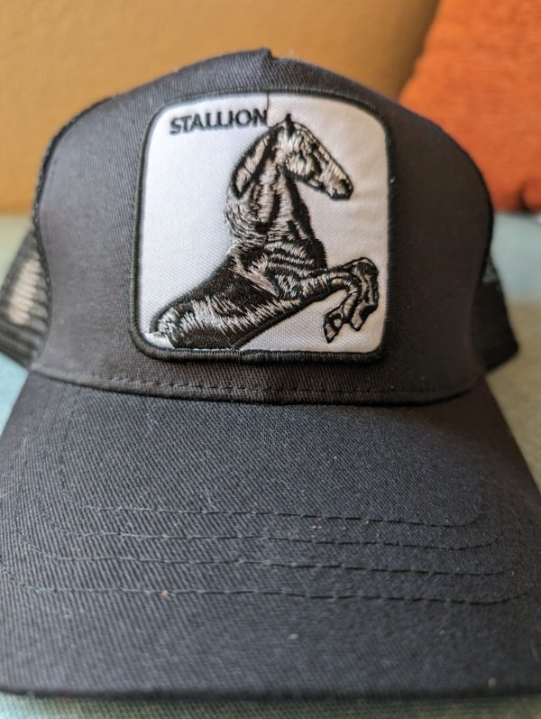 Product Image and Link for Hat Animal