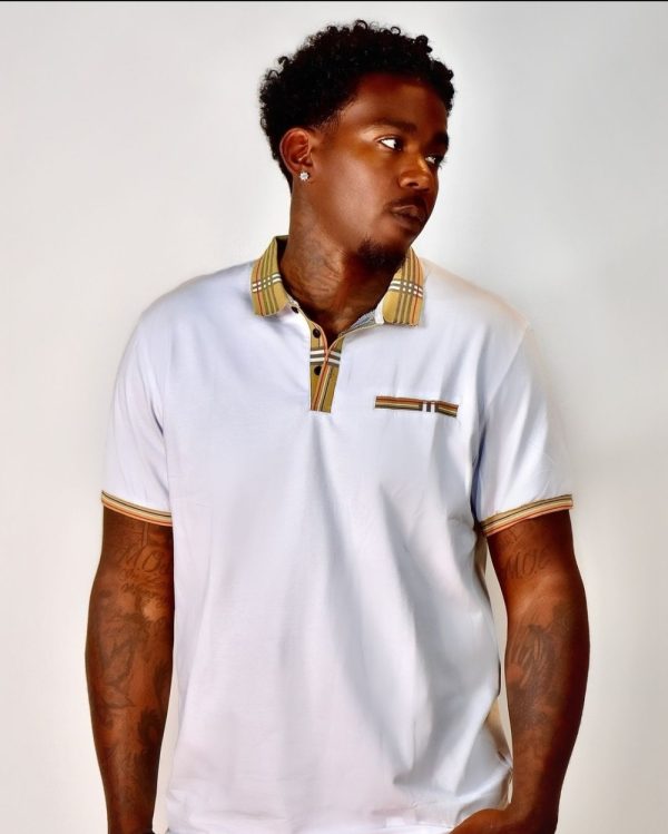 Product Image and Link for Burberry Inspired Polo