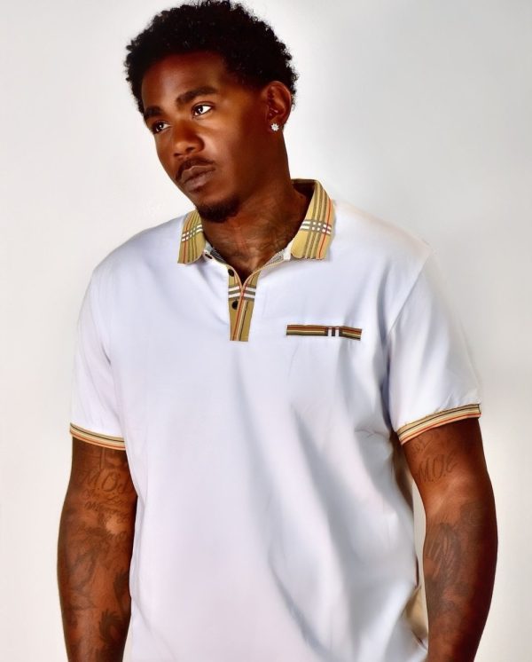 Product Image and Link for Burberry Inspired Polo
