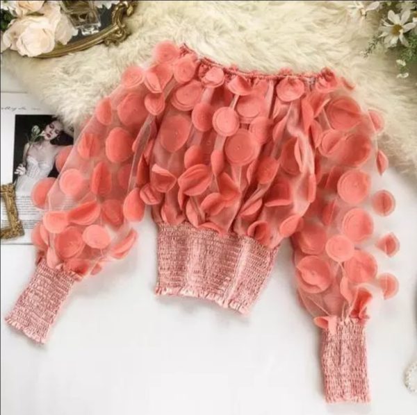 Product Image and Link for Mesh sheer puff sleeve blouse