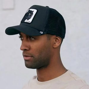 Product Image and Link for Hat Animal