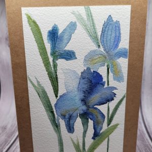 Product Image and Link for Blue Iris