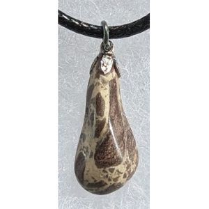 Product Image and Link for Brecciated Rhyolite Pendant – 1KN001 w/ shipping included