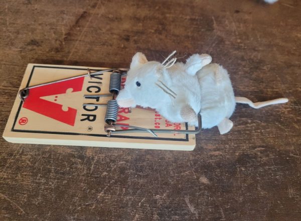 Product Image and Link for Victor Rat Trap
