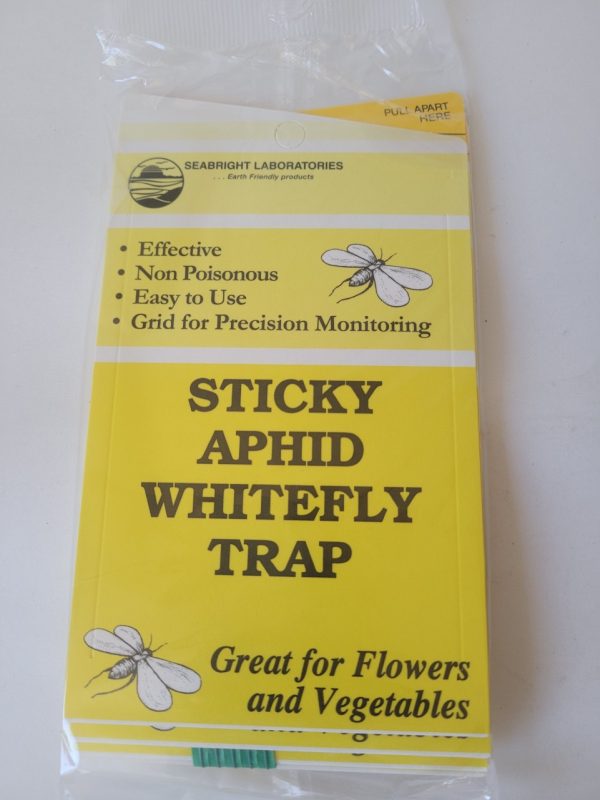 Product Image and Link for Sticky Aphid Whitefly Trap