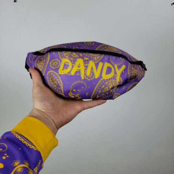 Product Image and Link for Paisley Fanny Pack