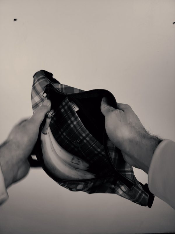 Product Image and Link for Plaid Phany Pack