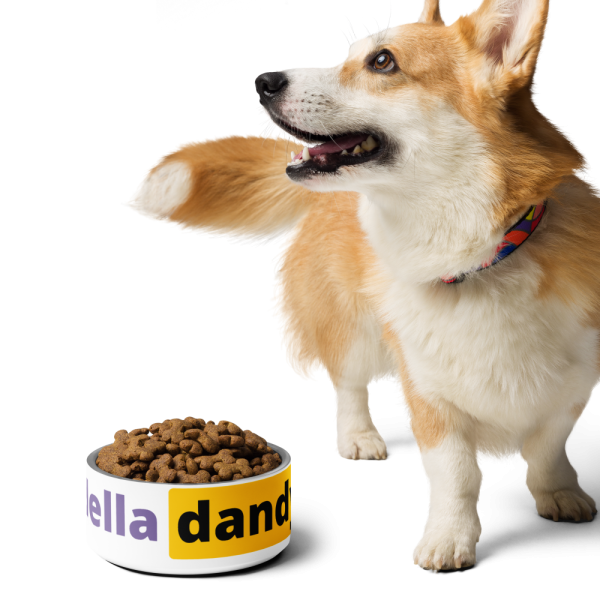 Product Image and Link for The Hub Pet bowl