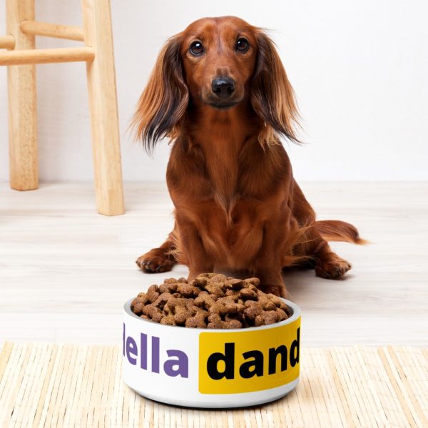 Product Image and Link for The Hub Pet bowl