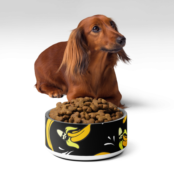 Product Image and Link for Bananas Pet bowl