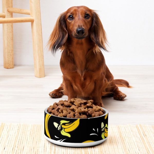 Product Image and Link for Bananas Pet bowl