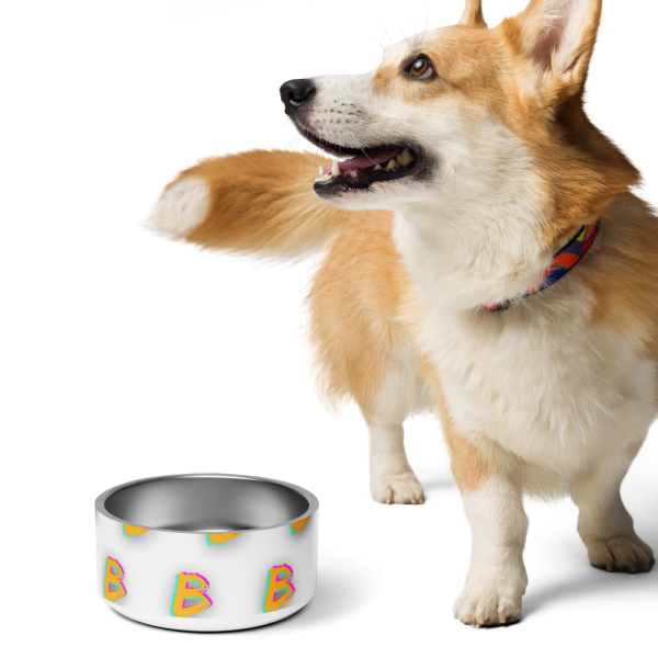 Product Image and Link for BBBBBBB Pet bowl