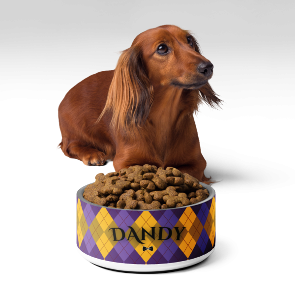Product Image and Link for Agent Argyle Pet bowl