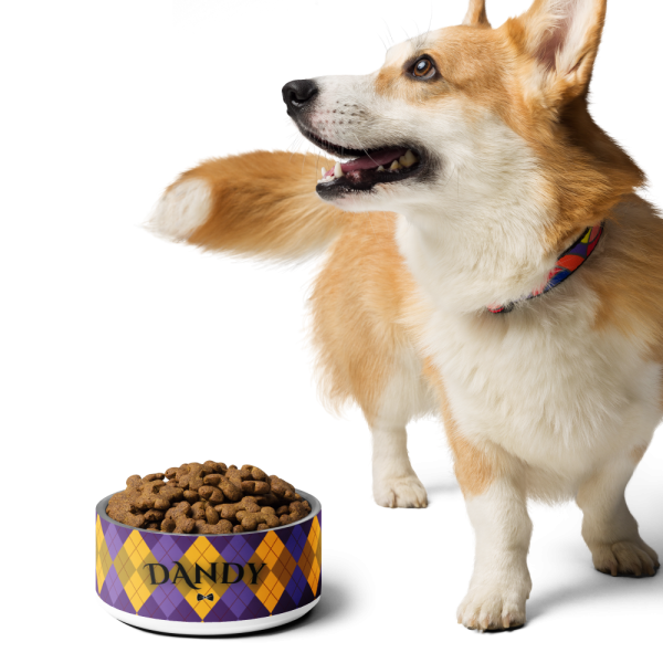 Product Image and Link for Agent Argyle Pet bowl