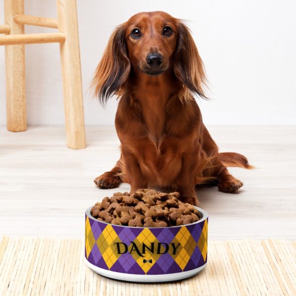 Product Image and Link for Agent Argyle Pet bowl