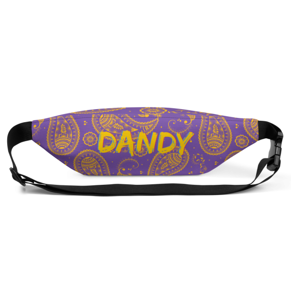 Product Image and Link for Paisley Phany Pack