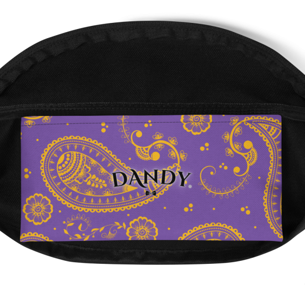 Product Image and Link for Paisley Phany Pack
