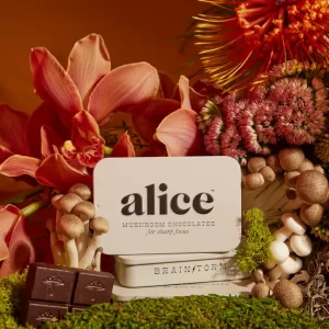 Product Image and Link for Alice Mushrooms – Mushroom Chocolate – Brainstorm