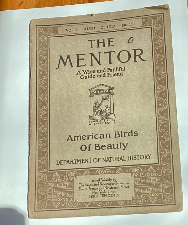 Product Image and Link for The Mentor American Birds Of Beauty Vol 1 June 1913