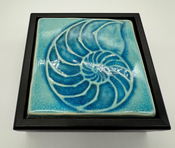 Product Image and Link for Vibrant Turquise Natalaus Shell Treasure Box