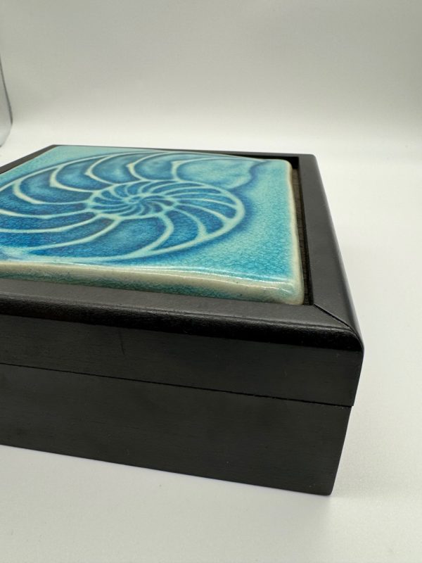 Product Image and Link for Vibrant Turquise Natalaus Shell Treasure Box