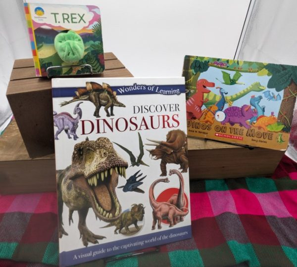 Product Image and Link for Dinosaur Book Mystery Gift Bundle