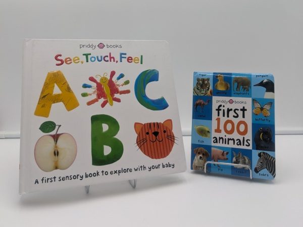 Product Image and Link for All The Firsts Baby to Toddler Book Mystery Gift Bundle