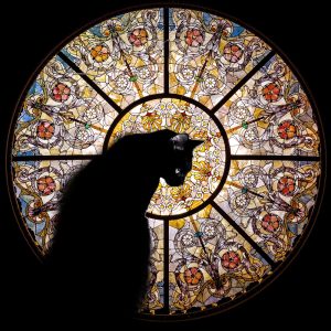Product Image and Link for Cathedral Cat – 372 Piece Wooden Jigsaw Puzzle