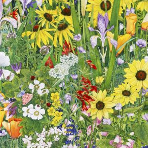 Product Image and Link for Look Who’s Hiding (50 Piece Mini Wooden Jigsaw Puzzle)