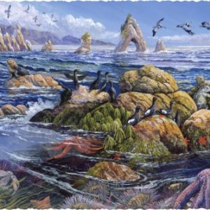 Product Image and Link for Pacific Northwest (500 Piece Wooden Jigsaw Puzzle)