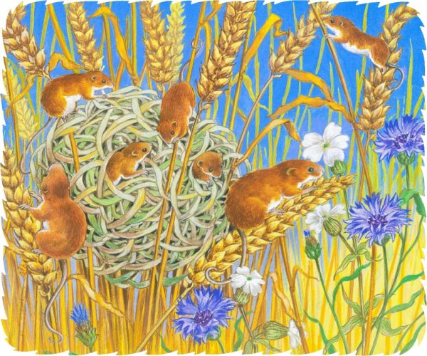Product Image and Link for The Summer Nest (50 Piece Wooden Jigsaw Puzzle)
