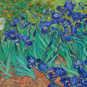 Product Image and Link for Irises By Vincent Van Gogh (50 Piece Mini Wooden Jigsaw Puzzle)