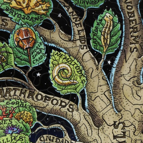 Product Image and Link for The Tree Of Life (521 Piece Wooden Jigsaw Puzzle)