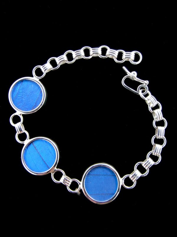 Product Image and Link for Blue Morpho Butterfly Wing Round Bracelet