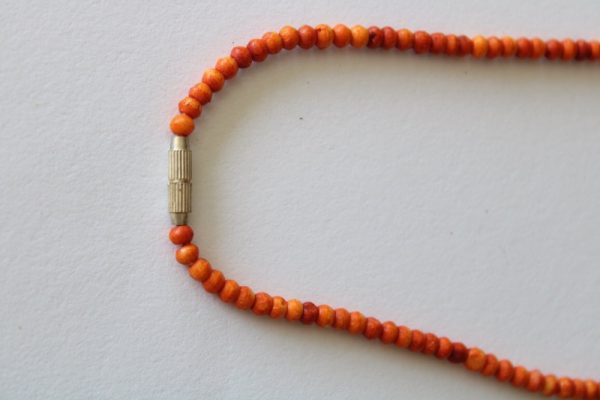 Product Image and Link for Rainbow Bone Necklaces