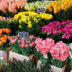 Product Image and Link for French Flower Market (122 Piece Wooden Jigsaw Puzzle)