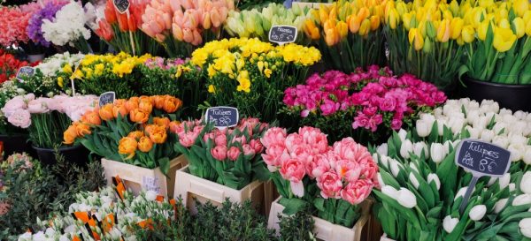 Product Image and Link for French Flower Market (122 Piece Wooden Jigsaw Puzzle)