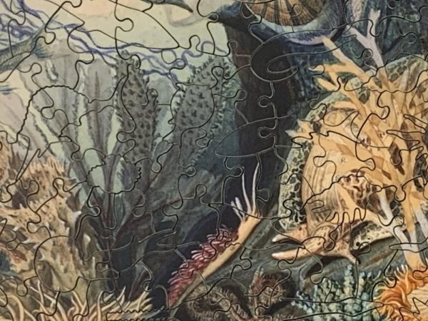 Product Image and Link for Ocean Life By James M. Sommerville (475 Piece Ocean Wooden Jigsaw Puzzle)