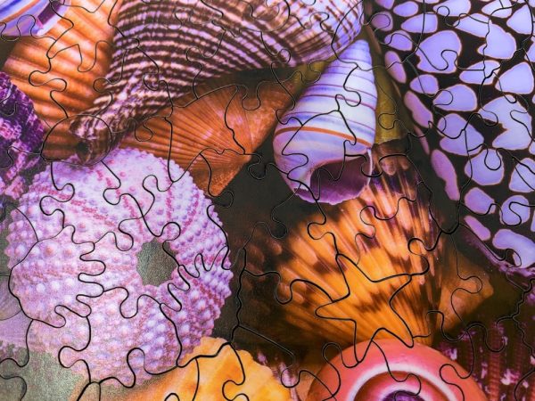 Product Image and Link for Ocean Treasures (145 Piece Ocean Wooden Jigsaw Puzzle)