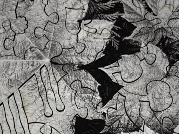 Product Image and Link for Leaves By Ansel Adams (50 Piece Mini Wooden Jigsaw Puzzle)