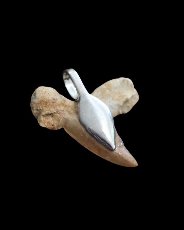 Product Image and Link for Fossilized Shark Teeth Pendants (6 pc.)