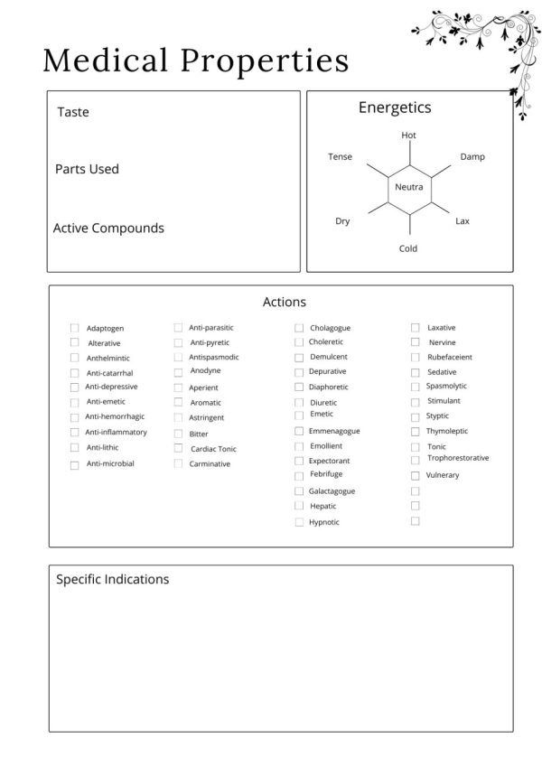 Product Image and Link for Herbs & Essential Oils Planner
